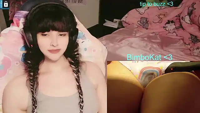 BimboCat webkamerás műsora