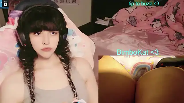Show Webcam de BimboCat