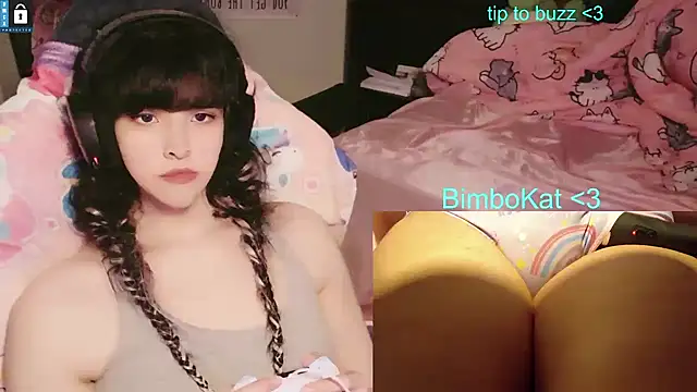 Show webcam de BimboCat