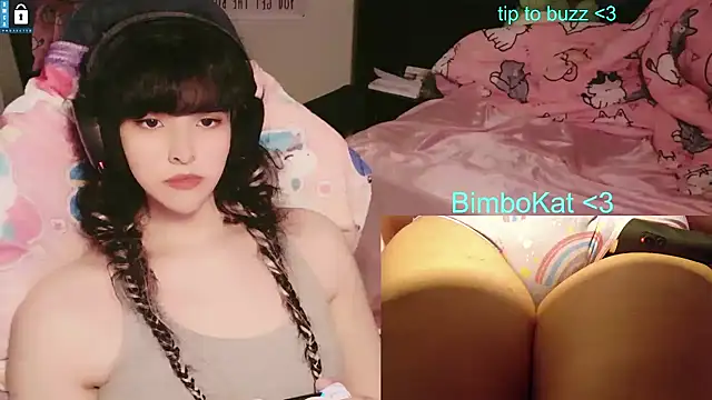 BimboCat: διαδικτυακό σόου στην κάμερα