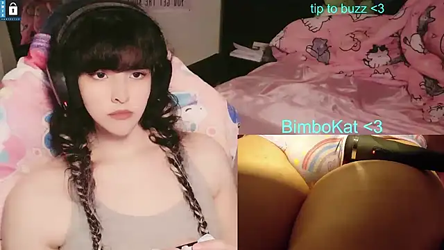 BimboCat webkamerás műsora