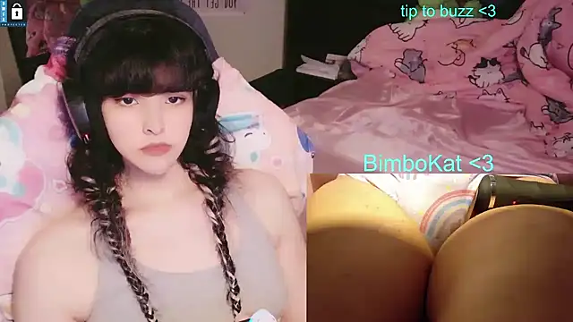 BimboCat Show Webcam