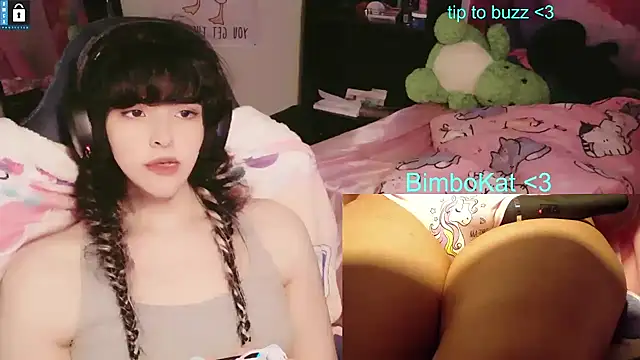 BimboCat: διαδικτυακό σόου στην κάμερα