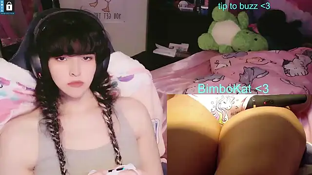 BimboCat Pertunjukan Webcam
