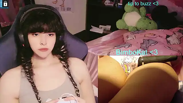 Show de webcam de BimboCat