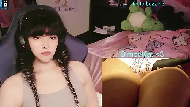 BimboCat webcam show