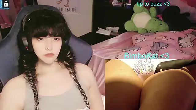Show Webcam de BimboCat