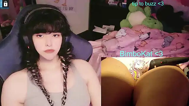 BimboCat webkamerás műsora