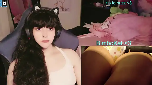 BimboCat 웹캠 쇼