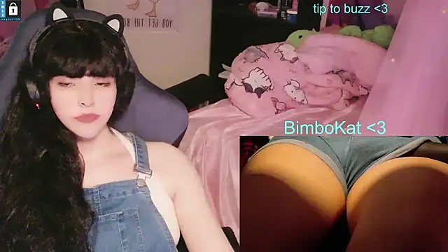 BimboCat webkamerás műsora