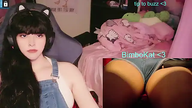 BimboCat webkamerás műsora