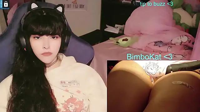 BimboCat 웹캠 쇼