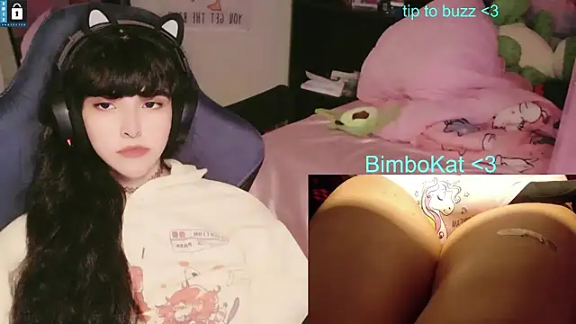 BimboCat Show in webcam