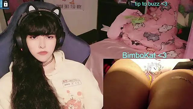 BimboCat webkamerás műsora