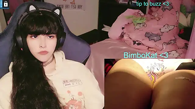 BimboCatのウェブカメラショー