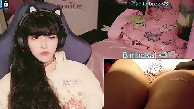 הופעת וובקאם של BimboCat