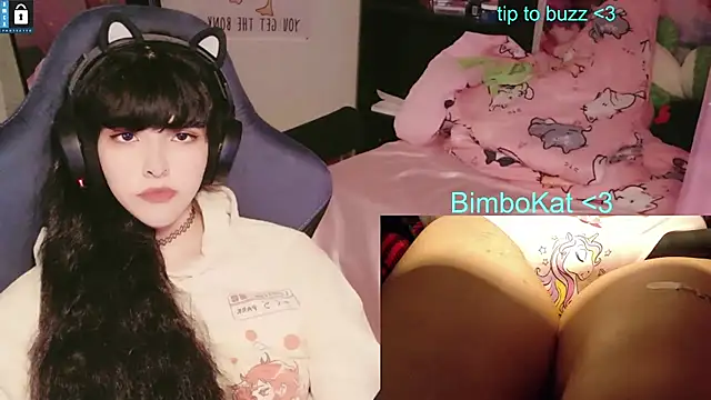 BimboCat: вебкам-шоу