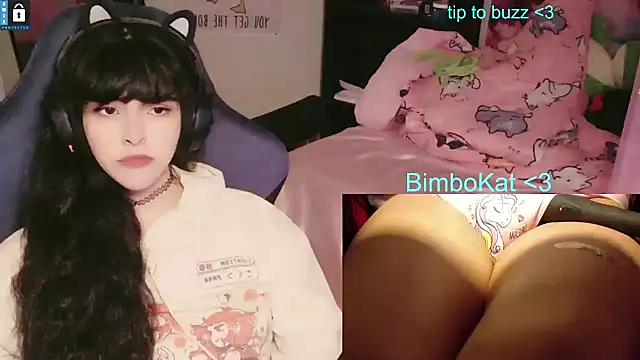 BimboCat 웹캠 쇼