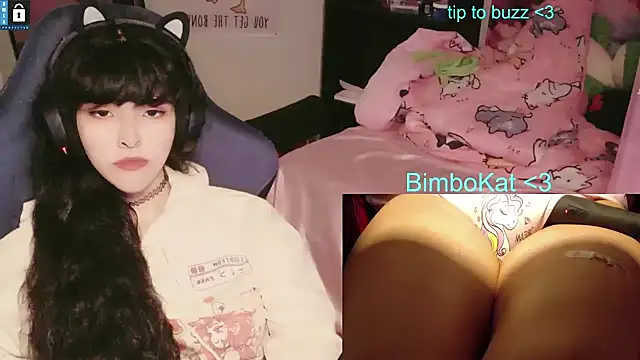 Show webcam de BimboCat