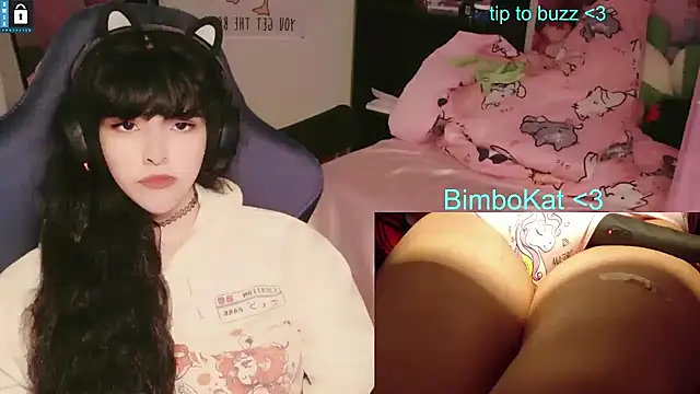 Show webcam de BimboCat