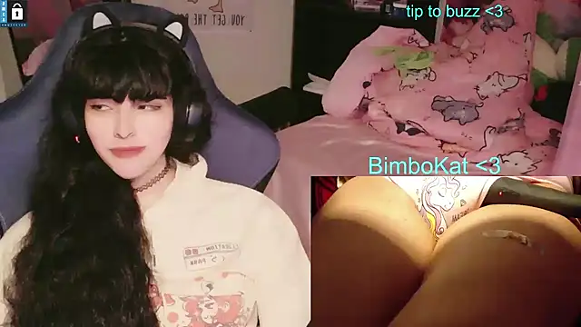 BimboCat 웹캠 쇼
