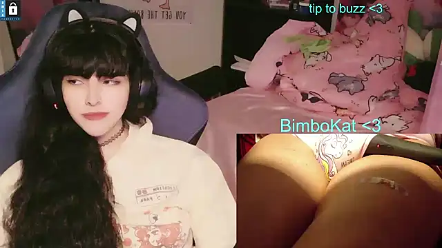 Pertunjukan Kamera Web BimboCat