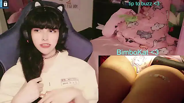 BimboCat's Webcam Show