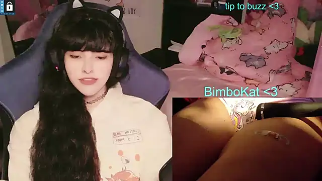 Pertunjukan Kamera Web BimboCat