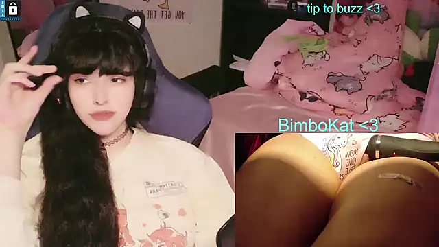 BimboCatn Webbikameraesitys