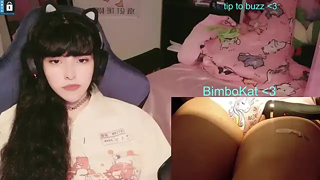 Pertunjukan Kamera Web BimboCat