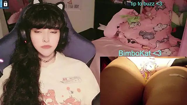 BimboCat: διαδικτυακό σόου στην κάμερα