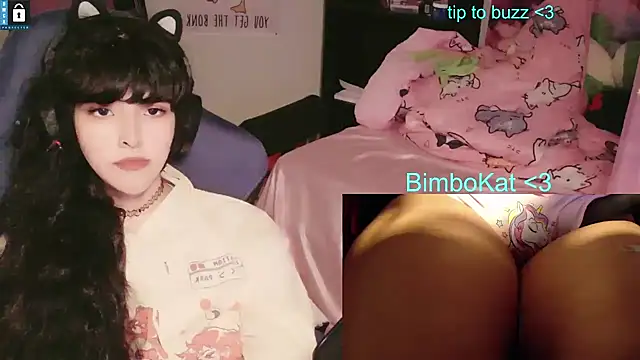 הופעת וובקאם של BimboCat