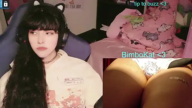 BimboCat: διαδικτυακό σόου στην κάμερα