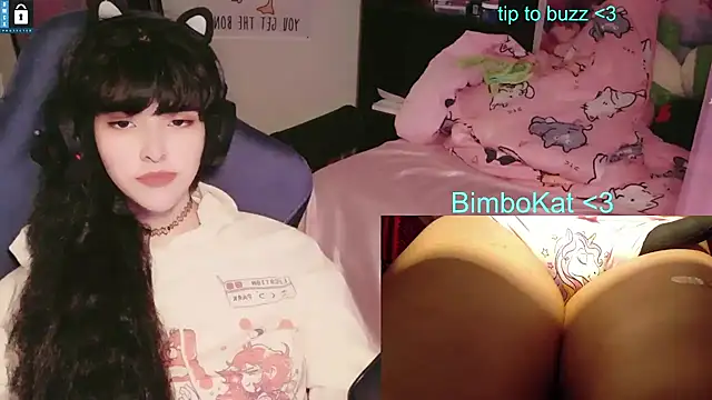 BimboCat webcam show