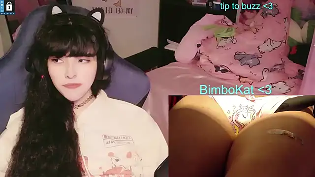BimboCat Show in webcam