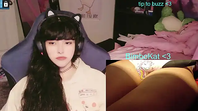 BimboCat webkamerás műsora