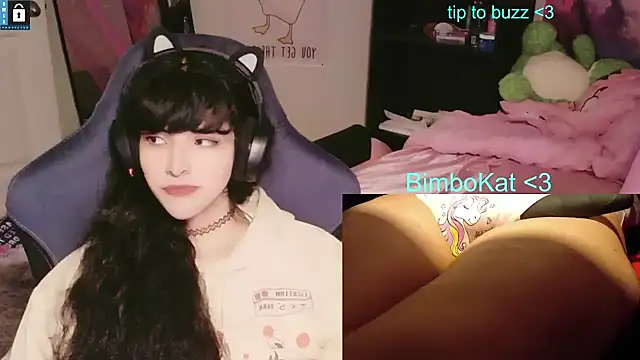 BimboCat: вебкам-шоу
