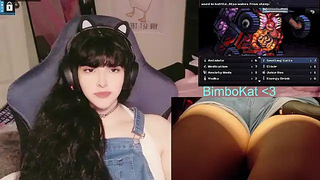 BimboCat – Kamerová šou