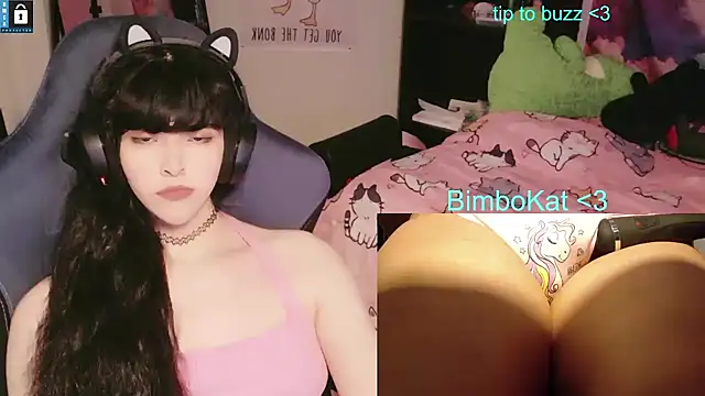 Pertunjukan Kamera Web BimboCat