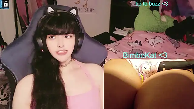 Show Webcam de BimboCat