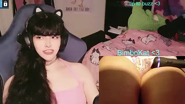Show webcam de BimboCat