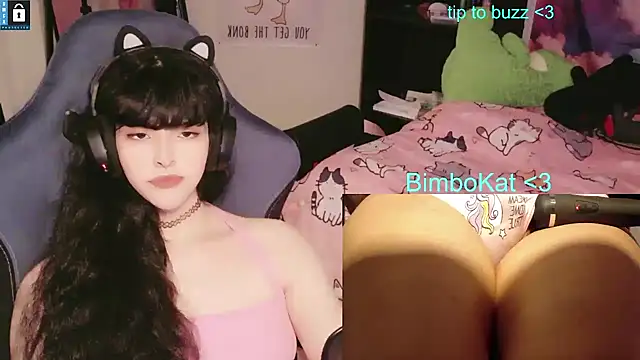 BimboCat ওয়েবক্যাম শো