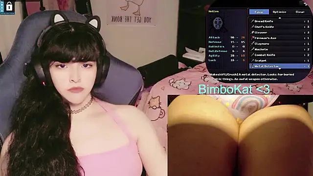 BimboCat 웹캠 쇼