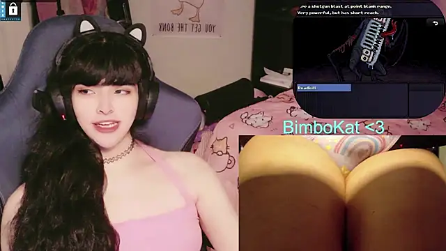 Show Webcam de BimboCat