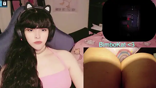 BimboCat webkamerás műsora