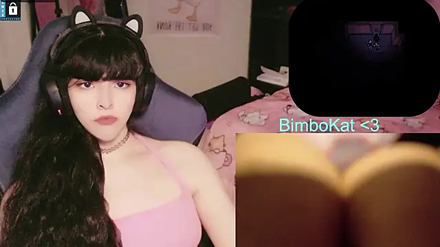 BimboCat 网络视讯表演