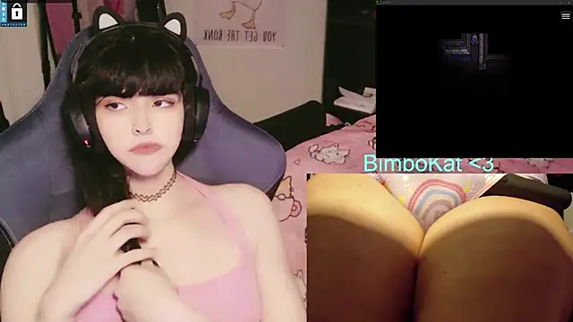 Show webcam de BimboCat