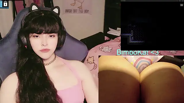 BimboCat 网络视讯表演