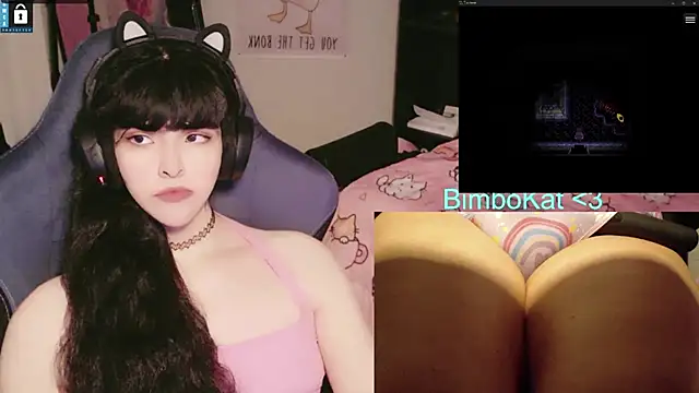 Show webcam de BimboCat