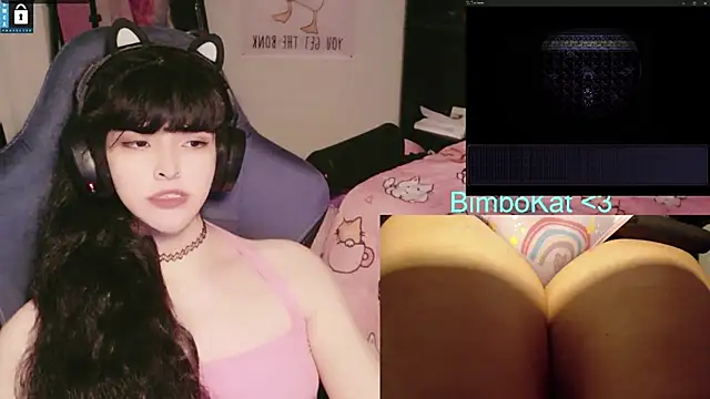 BimboCat: вебкам-шоу